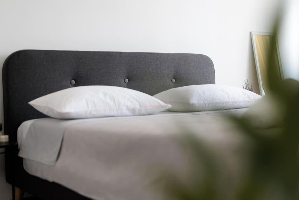 Apartment Dominicus Zadar Dış mekan fotoğraf